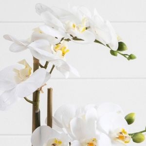 Meet your Posher, Sue